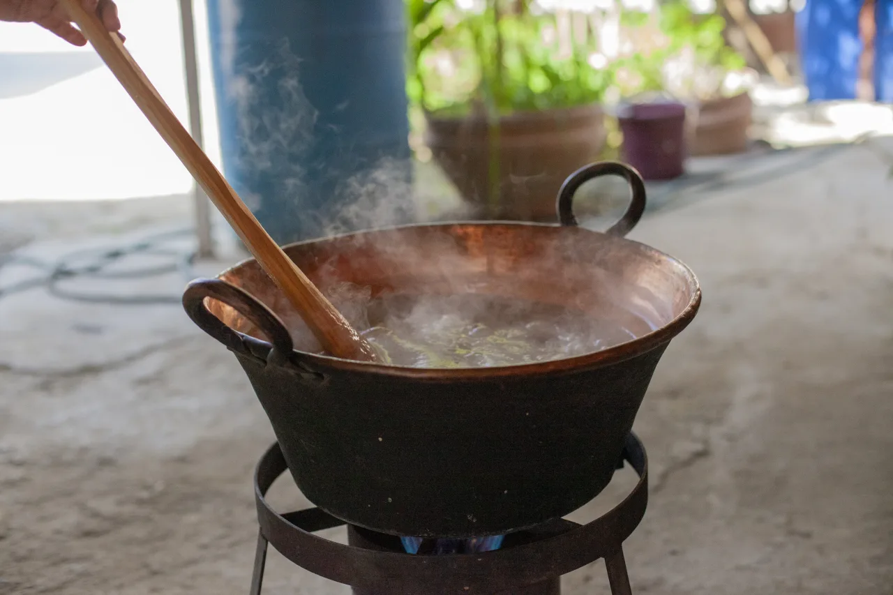 The dish